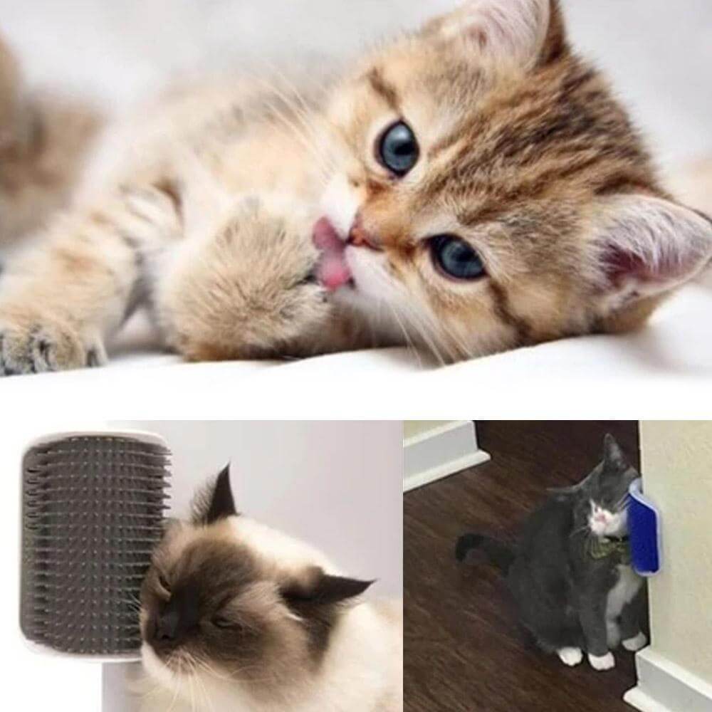 Simply Comfy | Cat Massager &amp; Brush