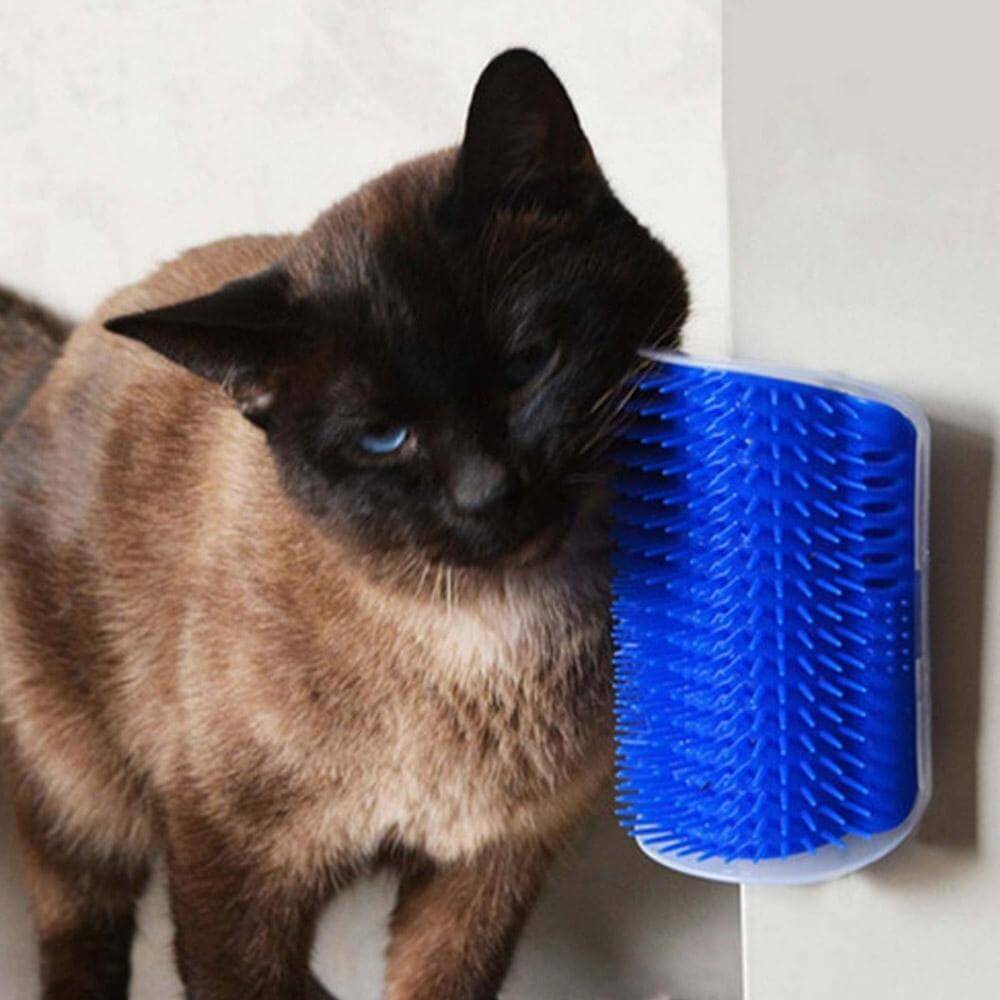 Simply Comfy | Cat Massager &amp; Brush