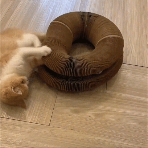 Magic Organ Cat Scratching Board Toy With Bell