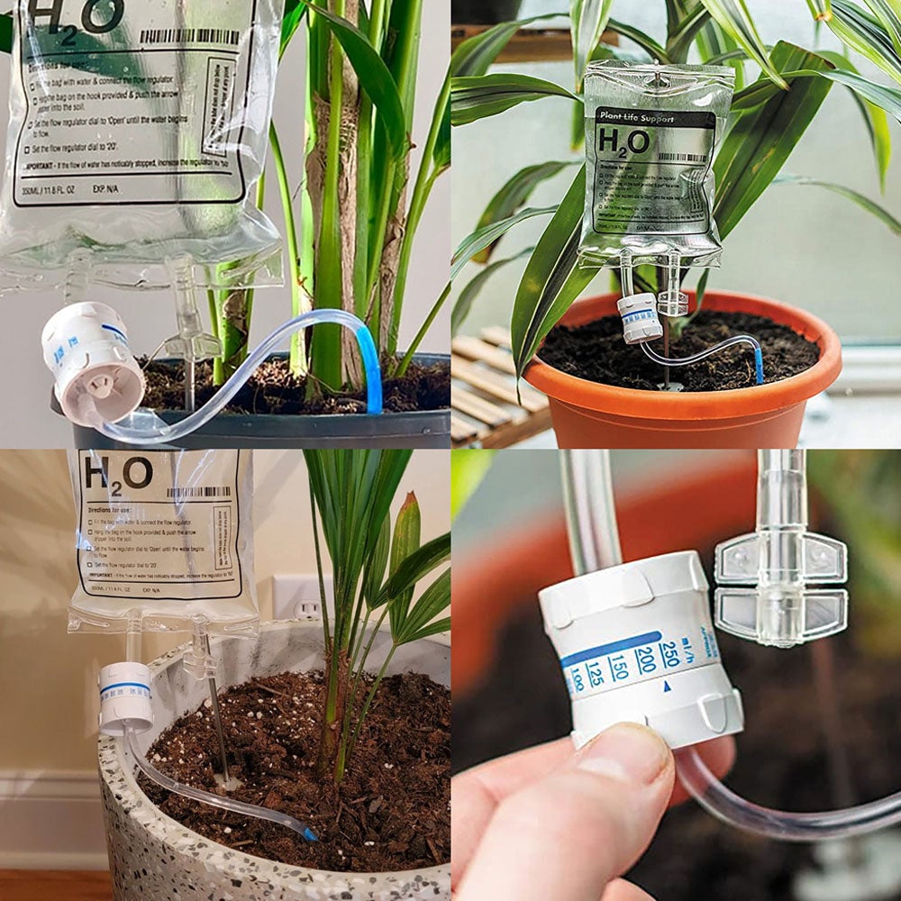 Simply Comfy | Plant Reviver