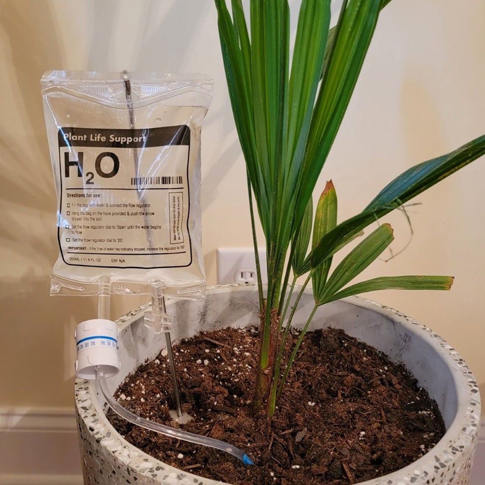 Simply Comfy | Plant Reviver