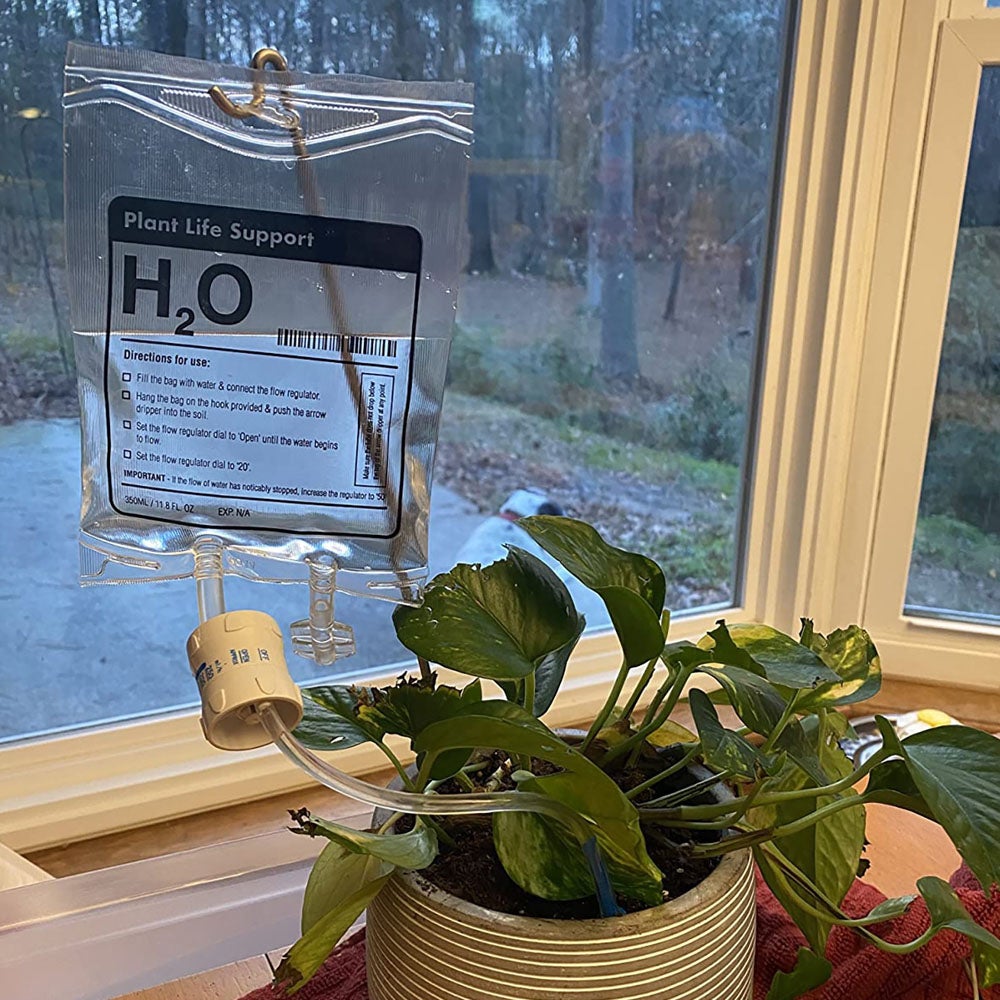 Simply Comfy | Plant Reviver