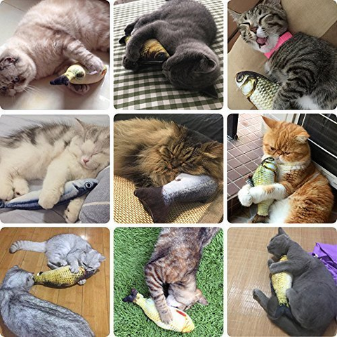 Simulation Electric Fish Cat Toy